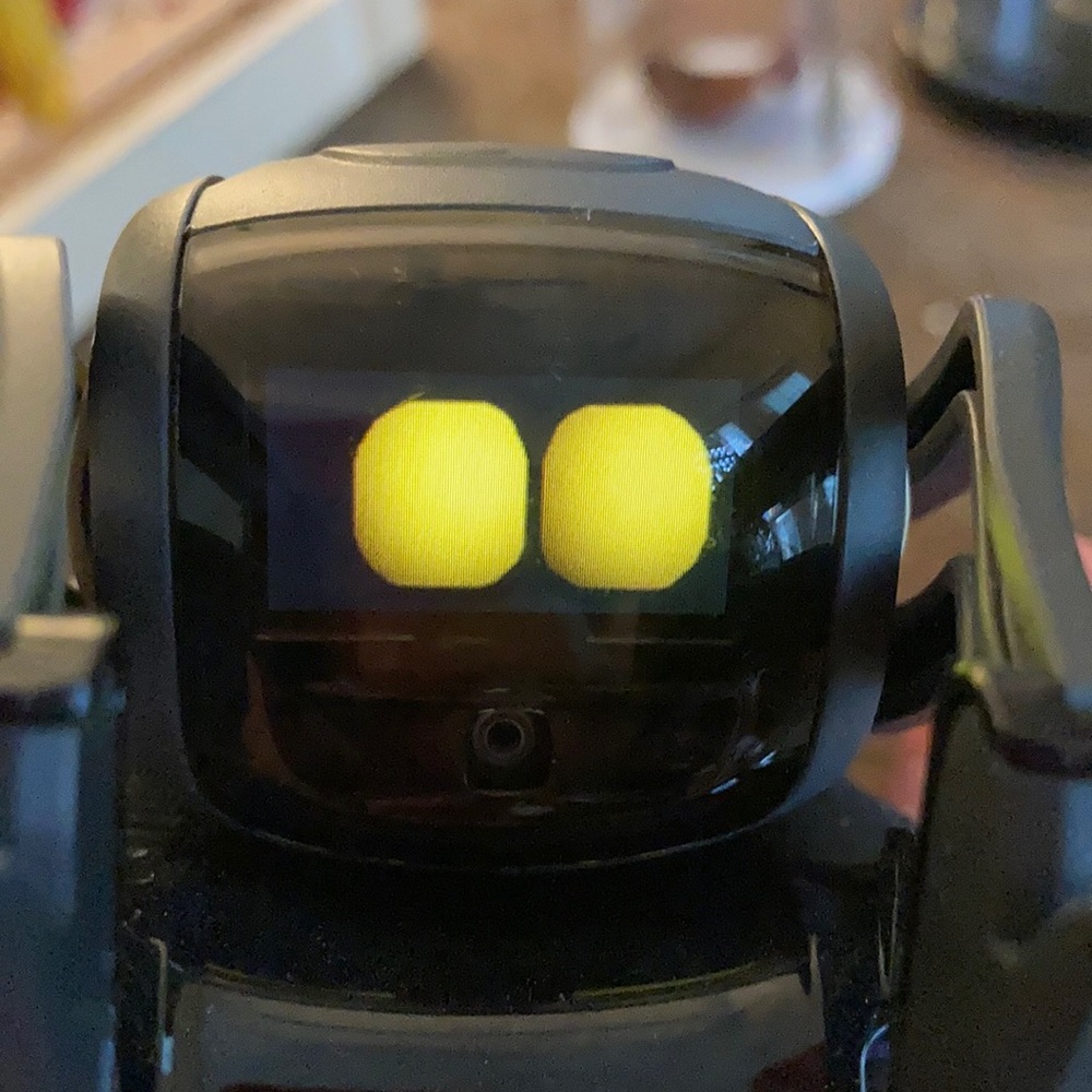 Meet your Posher, Luis